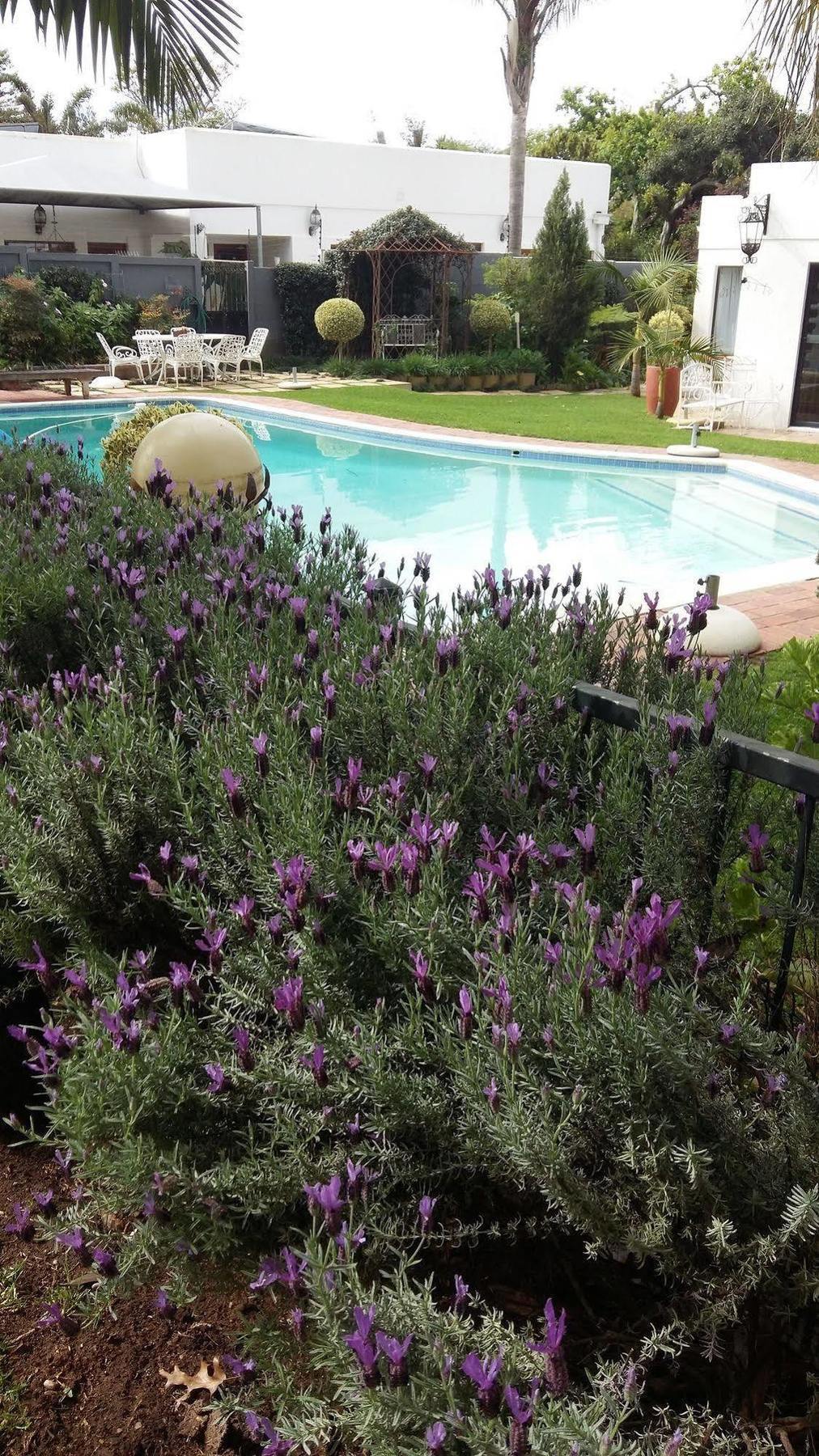 Cape Pillars Boutique Hotel Durbanville Exterior foto